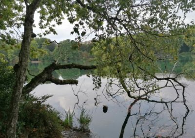 parc de la tête d’or 22 09