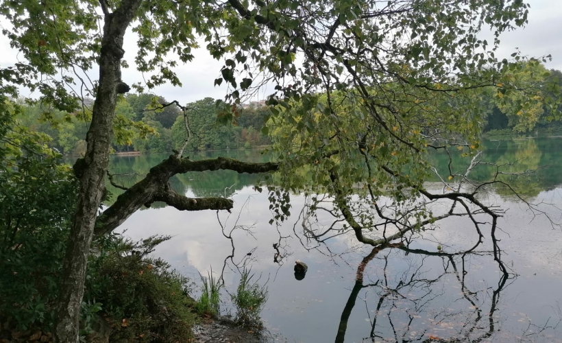 parc de la tête d’or 22 09