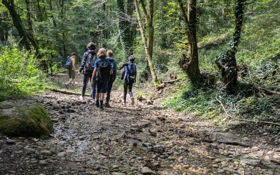 Balade en forêt