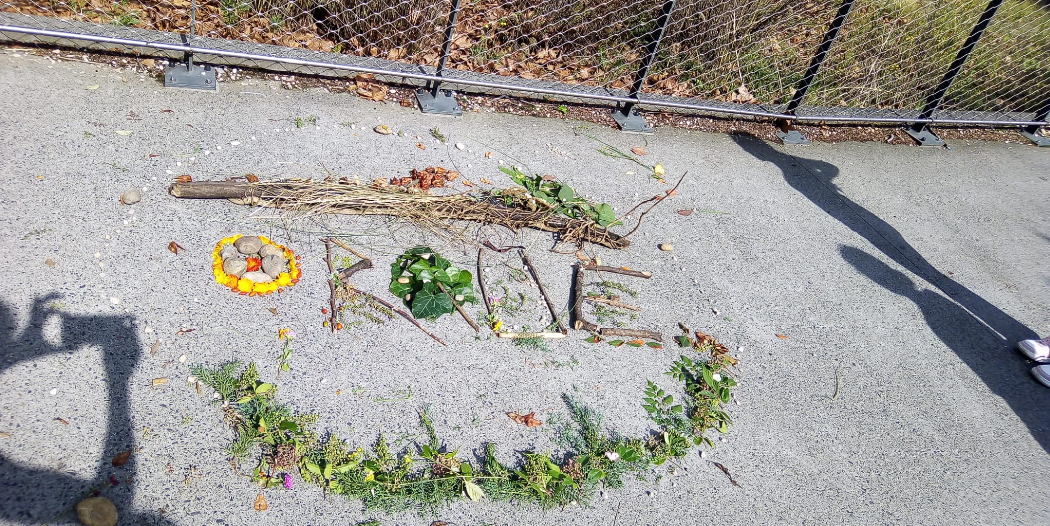 Quand l’art rencontre la pédagogie du collège